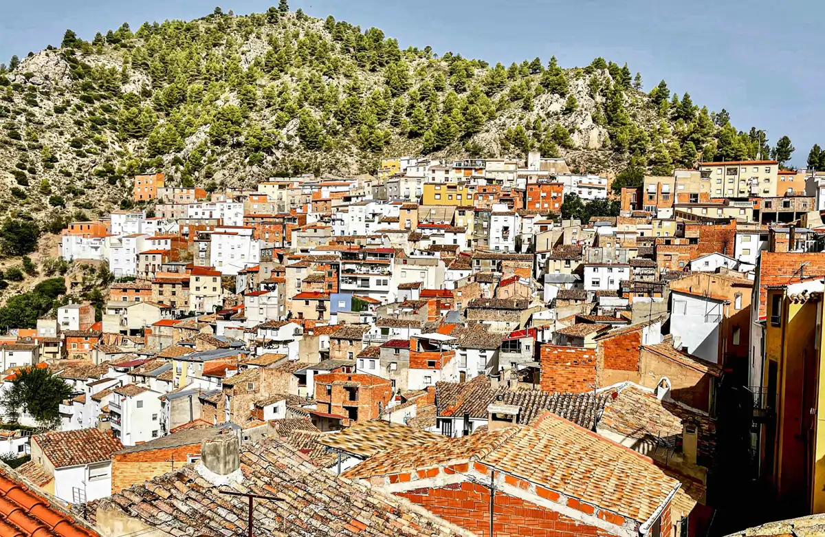 Bogarra
