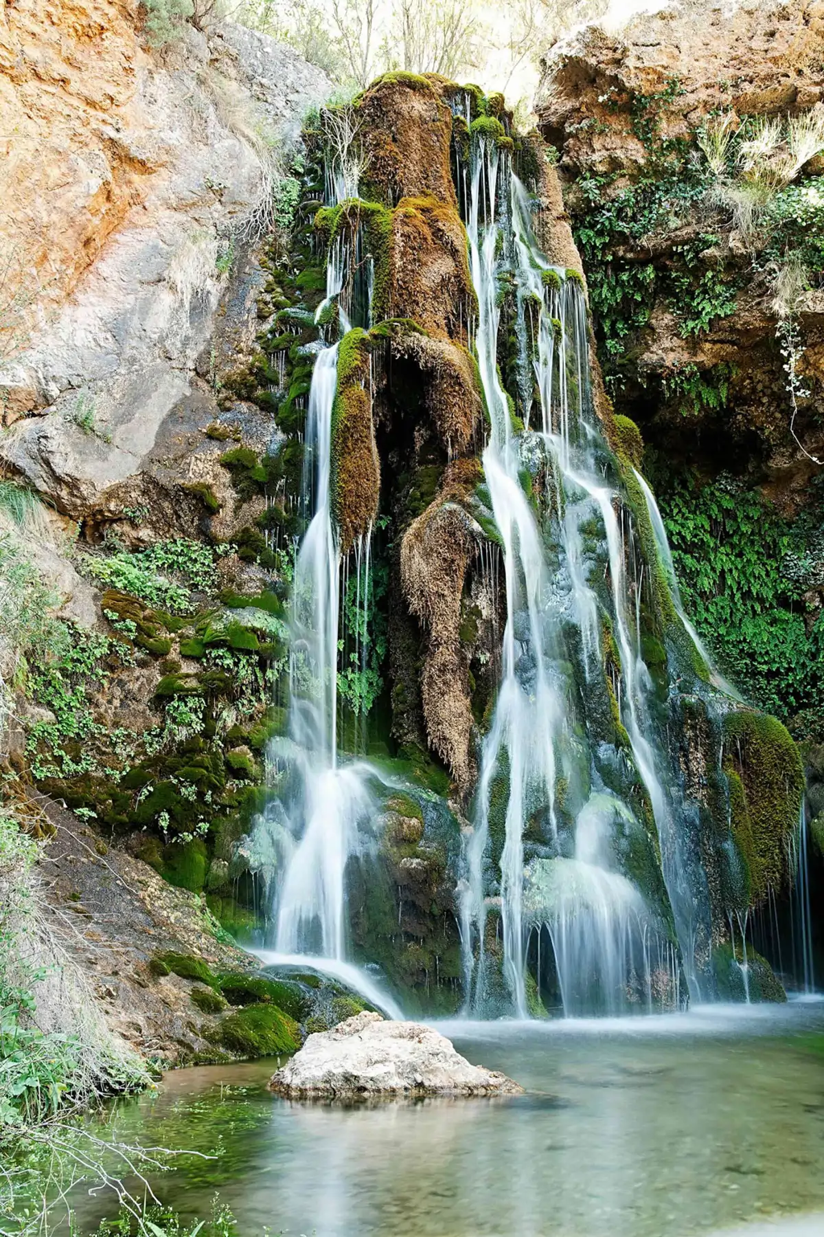 Bogarra
