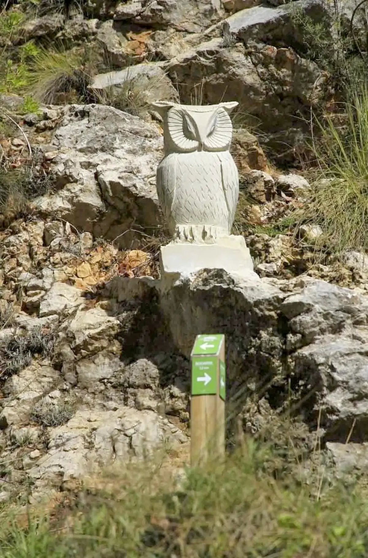 Bogarra