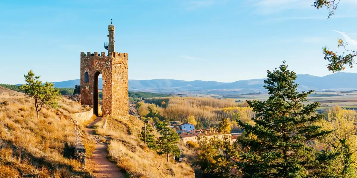 Ayllón