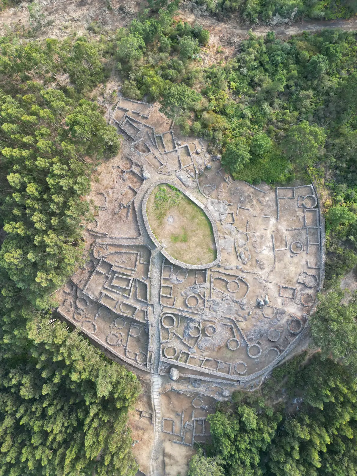 Castro de Monte Mozinho
