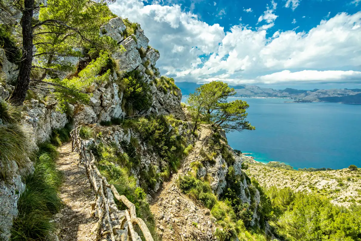 Paysages de Majorque