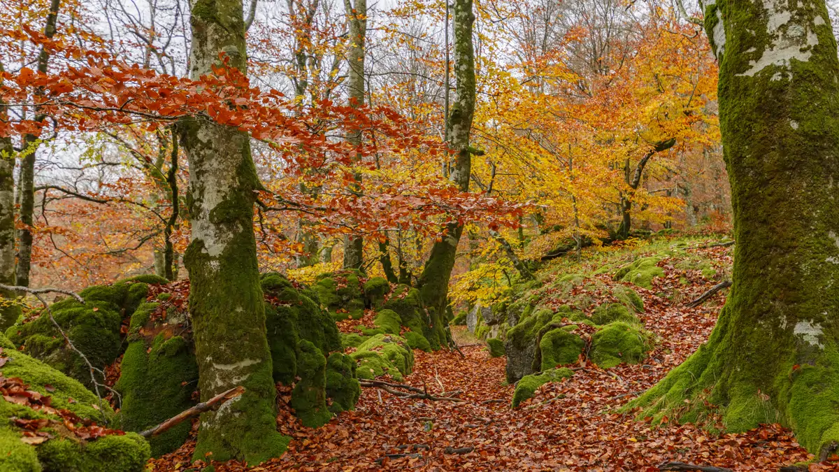 Parc naturel d'Urbasa