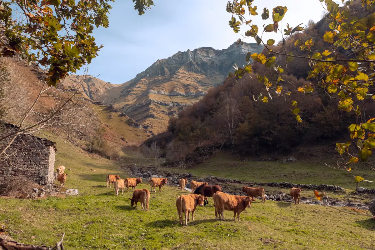 Côté rural de Cantabrie